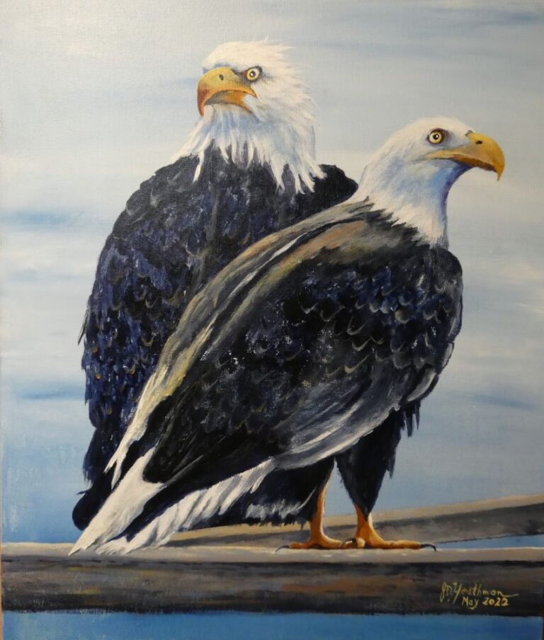 Eagle pair